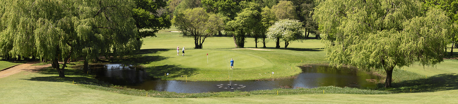 Meon Valley - Large Hazard on 12th hole